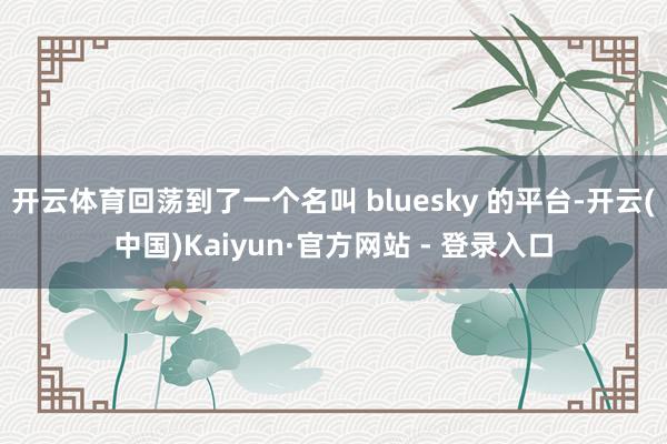 开云体育回荡到了一个名叫 bluesky 的平台-开云(中国)Kaiyun·官方网站 - 登录入口